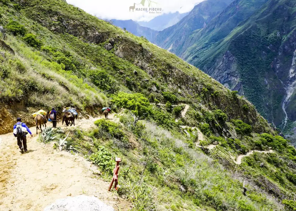 4 day Choquequirao hiking tour.