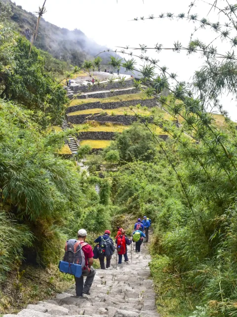 Famoso Camino Inca 4 Días a Machu Picchu mejor