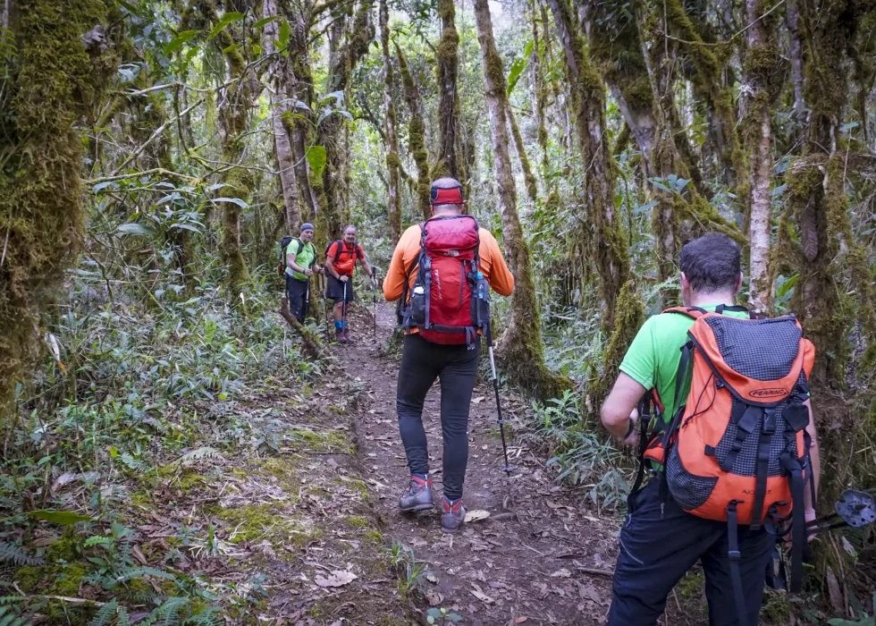 Salkantay Classic trek 5 Day, Chaullay