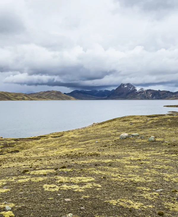 Tour Glaciar Qelqaya 1 Día | Glaciar Suyuparina