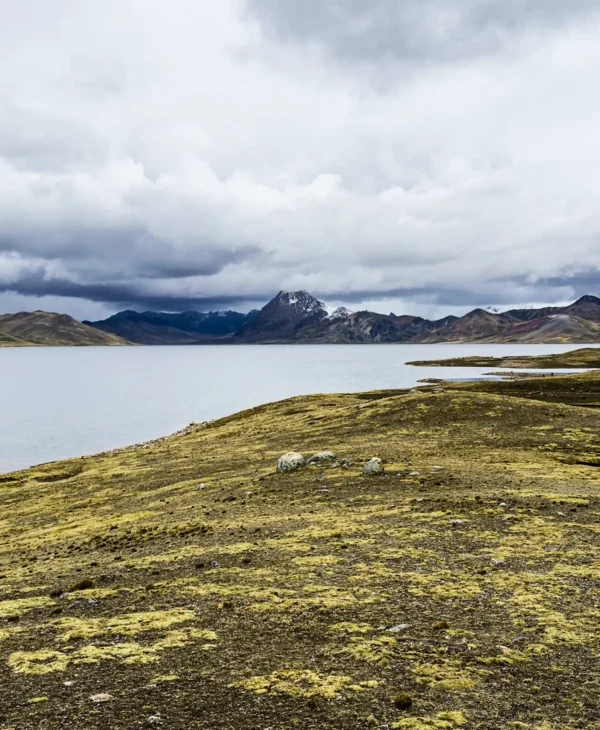 Quelccaya Glacier Day Tour | Suyuparina Glacier Day Tour